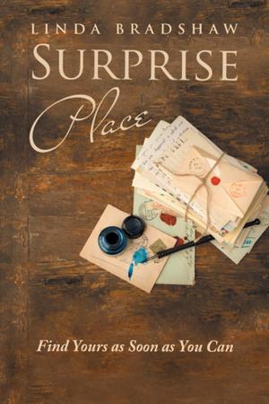 Cover of the book Surprise Place by Sue Parker