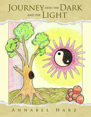 Cover of the book Journey into the Dark and the Light by Seda Star