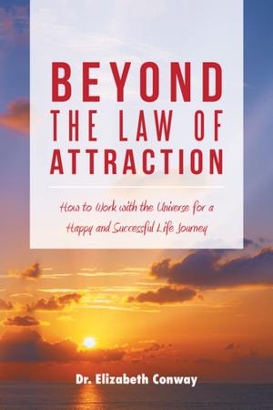 Cover of the book Beyond the Law of Attraction by Rodney Maxwell Stone