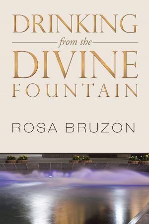 Cover of the book Drinking from the Divine Fountain by Susannah Rosewater