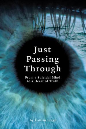 Cover of the book Just Passing Through by EM Richter