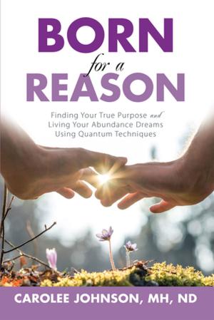 Cover of the book Born for a Reason by Elizabeth Sullivan