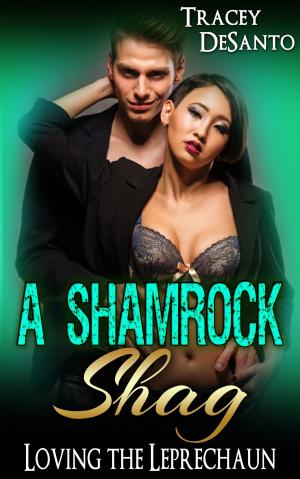 Cover of the book A Shamrock Shag: Loving the Leprechaun by Candace Blevins