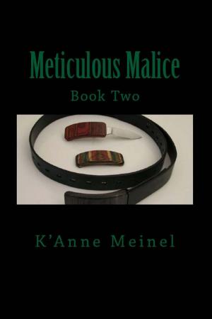 Cover of the book Meticulous Malice by K'Anne Meinel