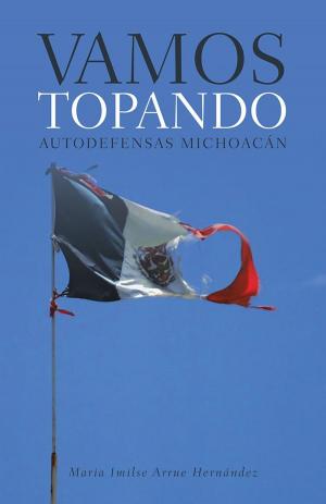 Cover of the book Vamos Topando by José Ramírez