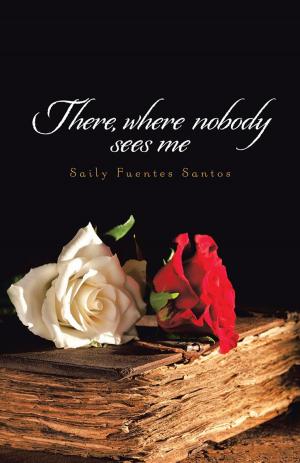Cover of the book There, Where Nobody Sees Me by Jeco