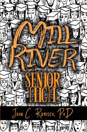 Cover of the book Mill River Senior High by Deborah Johnson Harwood