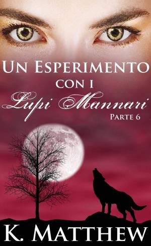 Cover of the book Un Esperimento con i Lupi Mannari: Parte 6 by Dy Wakefield