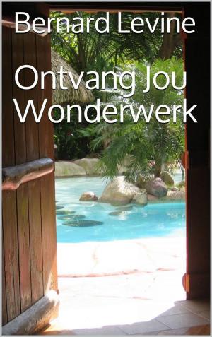 Cover of the book Ontvang Jou Wonderwerk by Bernard Levine