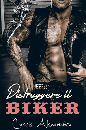 Cover of the book Distruggere il Biker by Nancy Ross