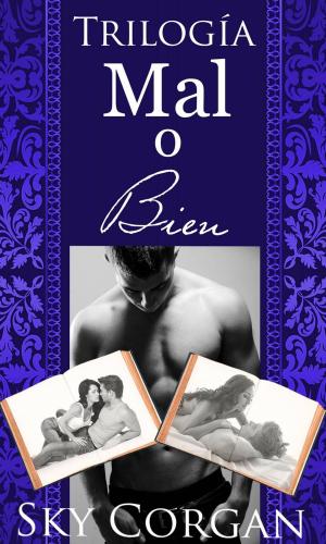 Cover of the book Trilogía Mal o Bien by D.S. Edward