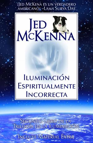 Cover of the book Iluminación Espiritualmente Incorrecta by Ryllandra Rose