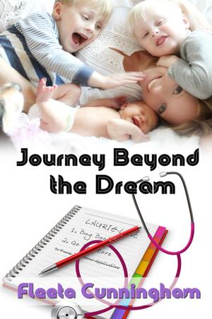 Book cover of Journey Beyond the Dream