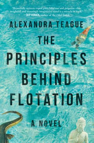 Cover of the book The Principles Behind Flotation by Joel Yanofsky