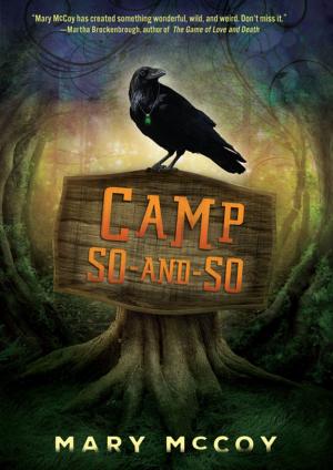 Cover of the book Camp So-and-So by Lisa Bullard