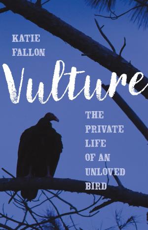 Cover of the book Vulture by Marc Solomon