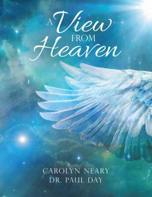 Cover of the book A View from Heaven by HAL O'