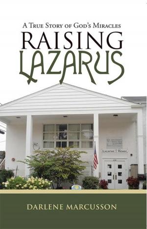 Cover of the book Raising Lazarus by Brenda Phegley