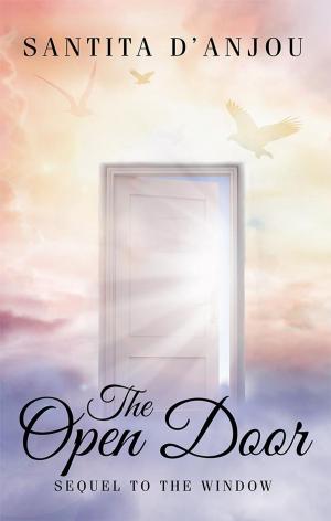 Cover of the book The Open Door by Valerie Gillen