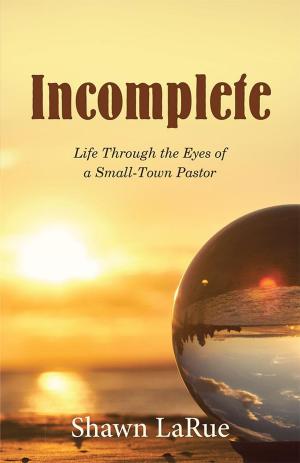 Cover of the book Incomplete by Doreen Sally Johnson