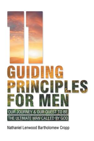Cover of the book 11 Guiding Principles for Men by Alicia Goodwin Jacobs