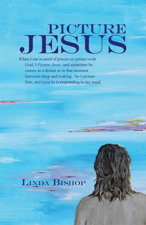 Cover of the book Picture Jesus by Matt W. Leach