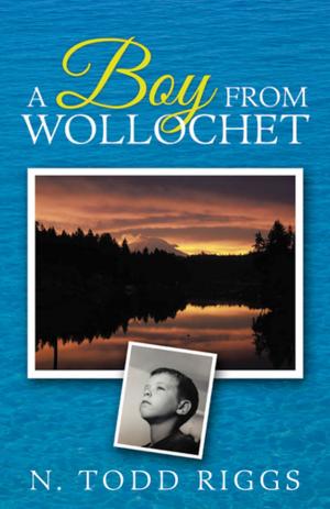 Cover of the book A Boy from Wollochet by Allan G. Hedberg, Rob Carey