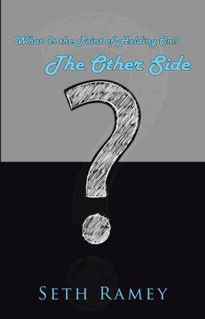 Cover of the book The Other Side by Delores E Baker