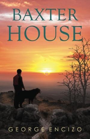 Cover of the book Baxter House by AK Williams
