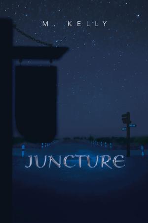 Cover of the book Juncture by Ian Newbegin