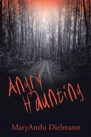 Cover of the book Angry Haunting by William J. Skinner