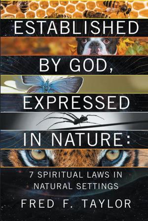 Cover of the book Established by God, Expressed in Nature by Minister Orlandis F. Benjamin Sr.