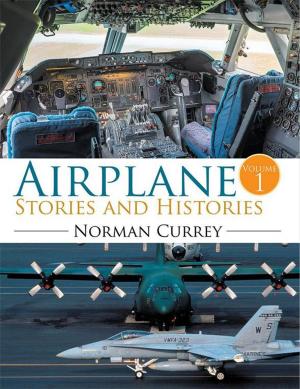 Cover of the book Airplane Stories and Histories by Nilsa Patterson