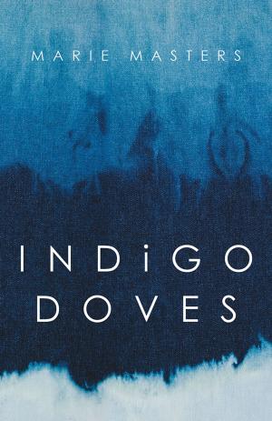 Cover of the book Indigo Doves by Kristina M. Norris