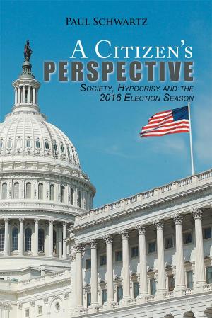Cover of the book A Citizen’S Perspective by Luke Denis, Chris Hampton