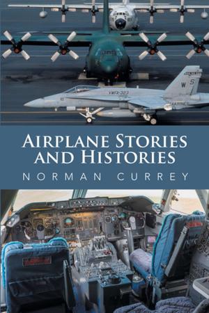 Cover of the book Airplane Stories and Histories by Marcia Davey