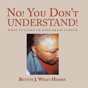 Cover of the book No! You Don’T Understand! by Rev. Dr. Derrick A. Hill