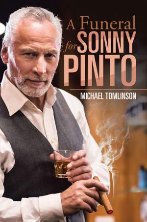 Cover of the book A Funeral for Sonny Pinto by Pator Michael Altino Perrin. Sr.