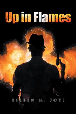 Cover of the book Up in Flames by Adolphus Ekejiuba, KSJI