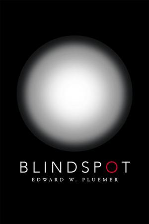 Cover of the book Blindspot by Sander R. Holmes