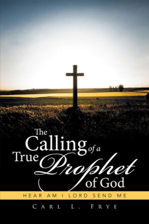 Cover of the book The Calling of a True Prophet of God by Hillary Zio