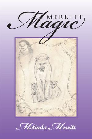 Cover of the book Merritt Magic by Rabbi David Rabeeya