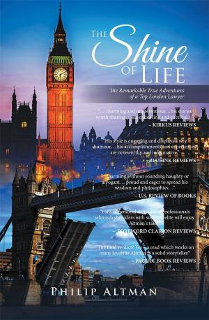 Cover of the book The Shine of Life by Bryn-mor Williams
