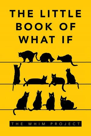Cover of the book The Little Book of What If by J.B. Balda