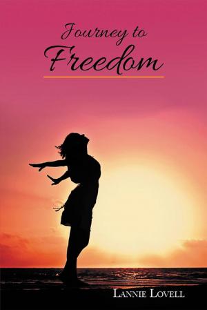 Cover of the book Journey to Freedom by Franklin Scott, Zelda Fertiglione