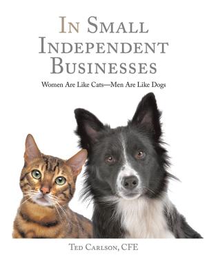 Cover of the book In Small Independent Businesses by Jessie Low Gan