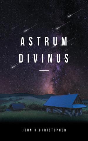 Cover of the book Astrum Divinus by Skoot Larson