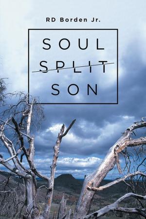 Cover of the book Soul-Split Son by Mehdi Behpou