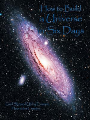 Cover of the book How to Build a Universe in Six Days by Lewis P. Hussell