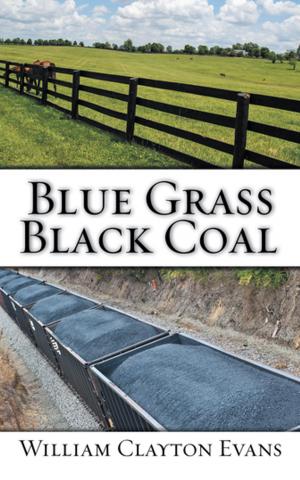 Book cover of Blue Grass; Black Coal